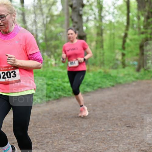 19.04.2026 - Hammer Lauf Dr. Thomas Lammeyer http://msf.ph/oto/9556561 19.04.2026 12:39:00 Laufen 1203, 451 meine-sportfotos.de