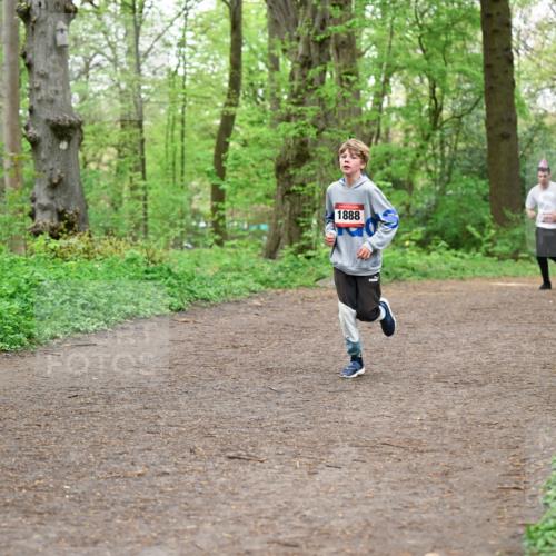 19.04.2026 - Hammer Lauf Dr. Thomas Lammeyer http://msf.ph/oto/9556582 19.04.2026 12:39:03 Laufen 1888, 1646 meine-sportfotos.de