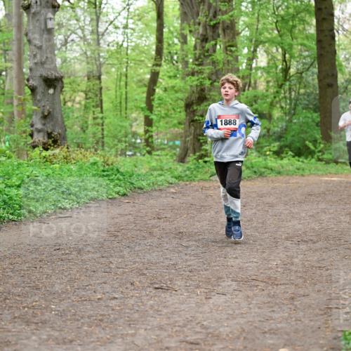 19.04.2026 - Hammer Lauf Dr. Thomas Lammeyer http://msf.ph/oto/9556587 19.04.2026 12:39:03 Laufen 1888, 0991 meine-sportfotos.de