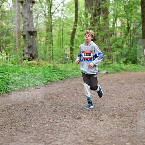 19.04.2026 - Hammer Lauf Dr. Thomas Lammeyer http://msf.ph/oto/9556593 19.04.2026 12:39:03 Laufen 1888 meine-sportfotos.de
