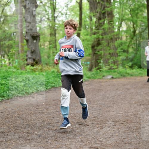 19.04.2026 - Hammer Lauf Dr. Thomas Lammeyer http://msf.ph/oto/9556602 19.04.2026 12:39:04 Laufen 1888 meine-sportfotos.de