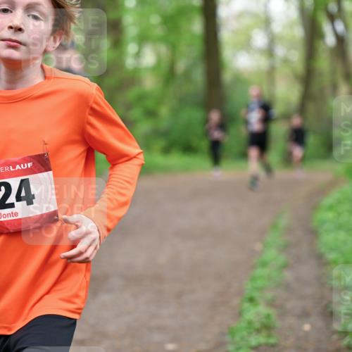 19.04.2026 - Hammer Lauf Dr. Thomas Lammeyer http://msf.ph/oto/9556701 19.04.2026 12:39:15 Laufen 224 meine-sportfotos.de