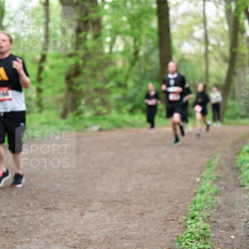 19.04.2026 - Hammer Lauf Dr. Thomas Lammeyer http://msf.ph/oto/9556710 19.04.2026 12:39:15 Laufen 9911 meine-sportfotos.de