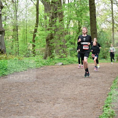 19.04.2026 - Hammer Lauf Dr. Thomas Lammeyer http://msf.ph/oto/9556711 19.04.2026 12:39:16 Laufen 1275 meine-sportfotos.de