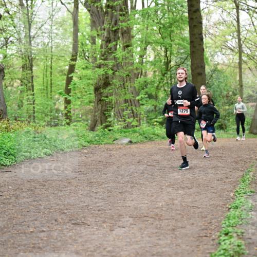19.04.2026 - Hammer Lauf Dr. Thomas Lammeyer http://msf.ph/oto/9556713 19.04.2026 12:39:16 Laufen 1166, 1275 meine-sportfotos.de