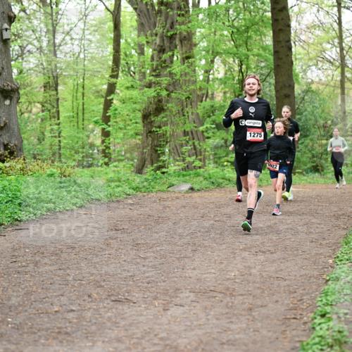 19.04.2026 - Hammer Lauf Dr. Thomas Lammeyer http://msf.ph/oto/9556717 19.04.2026 12:39:16 Laufen 1275, 1922 meine-sportfotos.de