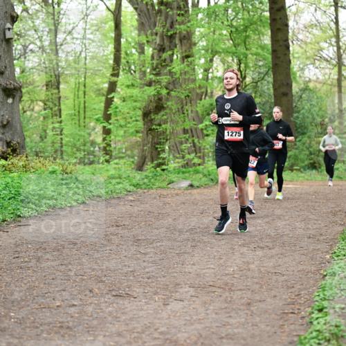 19.04.2026 - Hammer Lauf Dr. Thomas Lammeyer http://msf.ph/oto/9556720 19.04.2026 12:39:17 Laufen 1275 meine-sportfotos.de