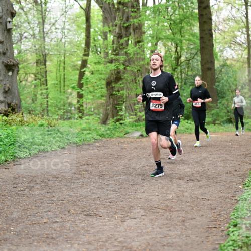 19.04.2026 - Hammer Lauf Dr. Thomas Lammeyer http://msf.ph/oto/9556722 19.04.2026 12:39:17 Laufen 1275, 467 meine-sportfotos.de