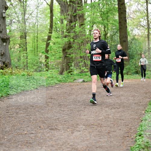 19.04.2026 - Hammer Lauf Dr. Thomas Lammeyer http://msf.ph/oto/9556724 19.04.2026 12:39:17 Laufen 1275, 467 meine-sportfotos.de