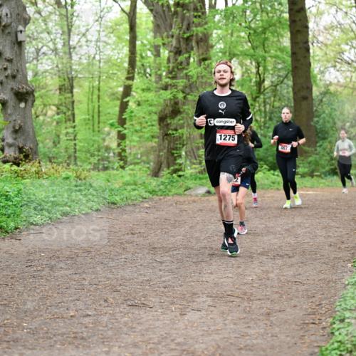 19.04.2026 - Hammer Lauf Dr. Thomas Lammeyer http://msf.ph/oto/9556725 19.04.2026 12:39:17 Laufen 1275, 467 meine-sportfotos.de