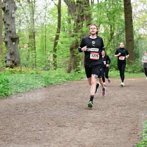19.04.2026 - Hammer Lauf Dr. Thomas Lammeyer http://msf.ph/oto/9556726 19.04.2026 12:39:17 Laufen 1275, 467 meine-sportfotos.de