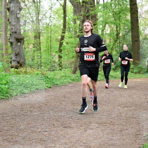 19.04.2026 - Hammer Lauf Dr. Thomas Lammeyer http://msf.ph/oto/9556728 19.04.2026 12:39:17 Laufen 1275, 467 meine-sportfotos.de