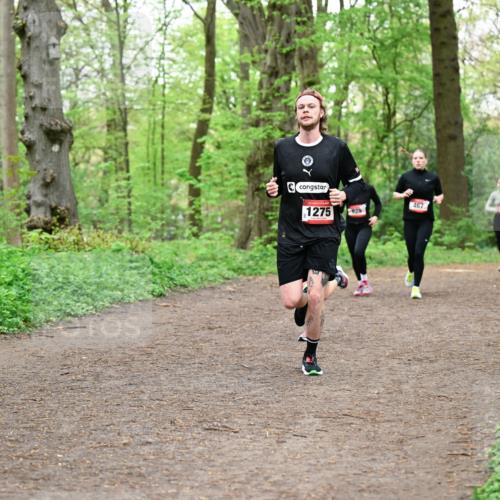 19.04.2026 - Hammer Lauf Dr. Thomas Lammeyer http://msf.ph/oto/9556730 19.04.2026 12:39:17 Laufen 1275, 467 meine-sportfotos.de