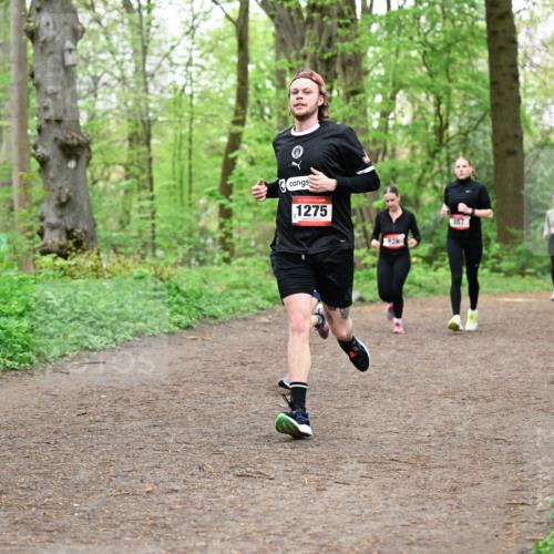 19.04.2026 - Hammer Lauf Dr. Thomas Lammeyer http://msf.ph/oto/9556731 19.04.2026 12:39:18 Laufen 1275, 467 meine-sportfotos.de