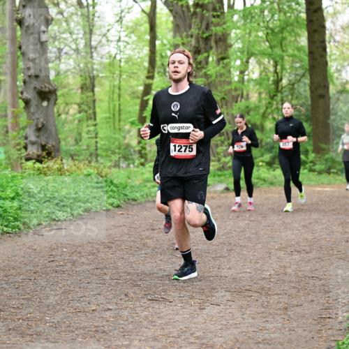 19.04.2026 - Hammer Lauf Dr. Thomas Lammeyer http://msf.ph/oto/9556733 19.04.2026 12:39:18 Laufen 1275, 467 meine-sportfotos.de