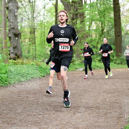 19.04.2026 - Hammer Lauf Dr. Thomas Lammeyer http://msf.ph/oto/9556735 19.04.2026 12:39:18 Laufen 1275, 467 meine-sportfotos.de