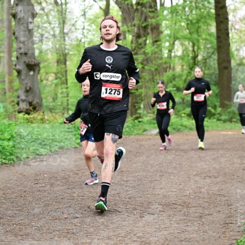 19.04.2026 - Hammer Lauf Dr. Thomas Lammeyer http://msf.ph/oto/9556738 19.04.2026 12:39:18 Laufen 1275 meine-sportfotos.de