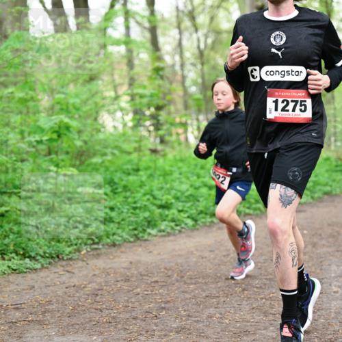 19.04.2026 - Hammer Lauf Dr. Thomas Lammeyer http://msf.ph/oto/9556740 19.04.2026 12:39:19 Laufen 1275 meine-sportfotos.de