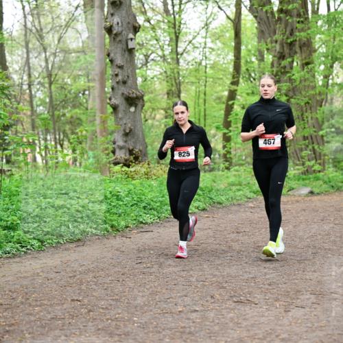 19.04.2026 - Hammer Lauf Dr. Thomas Lammeyer http://msf.ph/oto/9556754 19.04.2026 12:39:20 Laufen 825, 467, 494 meine-sportfotos.de