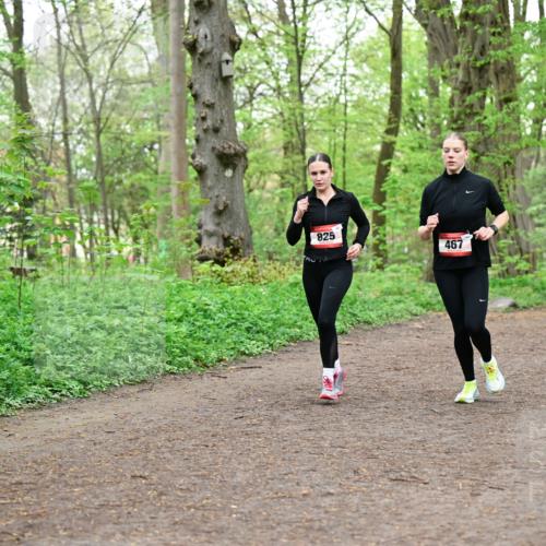19.04.2026 - Hammer Lauf Dr. Thomas Lammeyer http://msf.ph/oto/9556756 19.04.2026 12:39:20 Laufen 825, 467, 494 meine-sportfotos.de