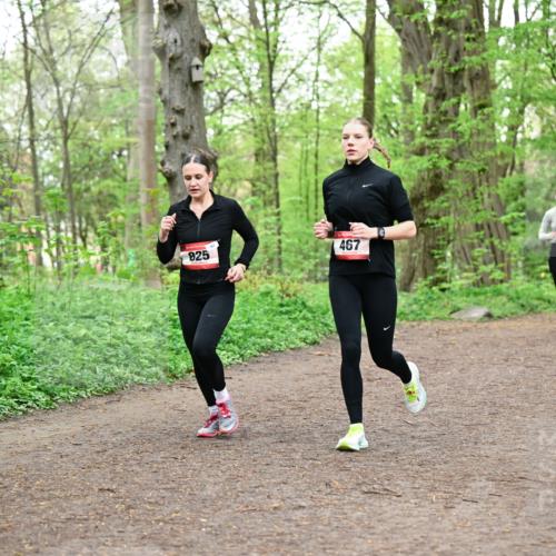 19.04.2026 - Hammer Lauf Dr. Thomas Lammeyer http://msf.ph/oto/9556759 19.04.2026 12:39:21 Laufen 494, 467, 825 meine-sportfotos.de