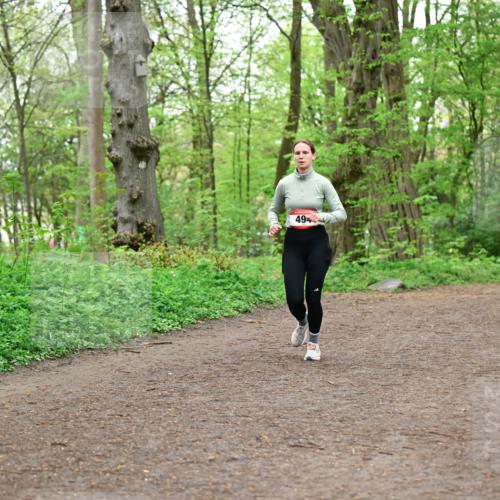 19.04.2026 - Hammer Lauf Dr. Thomas Lammeyer http://msf.ph/oto/9556786 19.04.2026 12:39:24 Laufen 558 meine-sportfotos.de