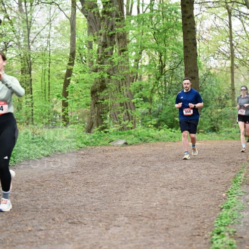 19.04.2026 - Hammer Lauf Dr. Thomas Lammeyer http://msf.ph/oto/9556791 19.04.2026 12:39:26 Laufen 494, 558, 443 meine-sportfotos.de