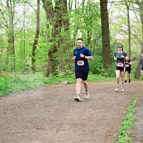19.04.2026 - Hammer Lauf Dr. Thomas Lammeyer http://msf.ph/oto/9556798 19.04.2026 12:39:27 Laufen 558, 443 meine-sportfotos.de