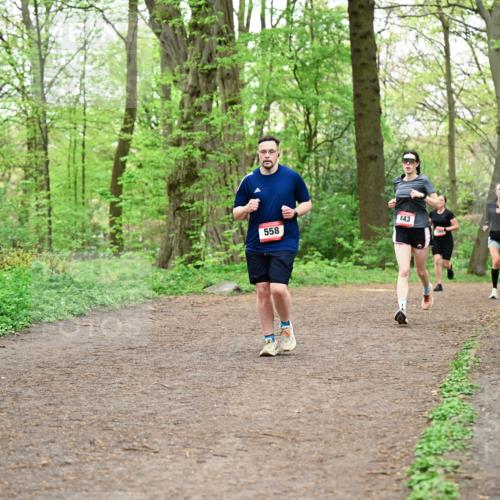 19.04.2026 - Hammer Lauf Dr. Thomas Lammeyer http://msf.ph/oto/9556800 19.04.2026 12:39:27 Laufen 558, 443 meine-sportfotos.de