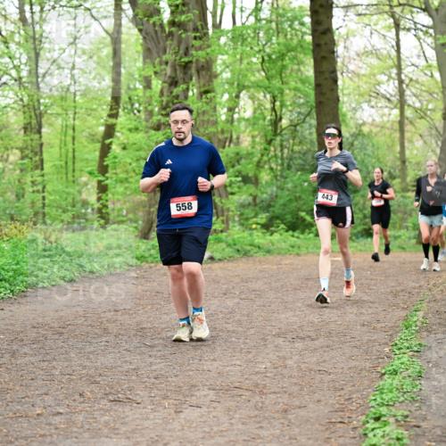 19.04.2026 - Hammer Lauf Dr. Thomas Lammeyer http://msf.ph/oto/9556807 19.04.2026 12:39:28 Laufen 558, 443 meine-sportfotos.de