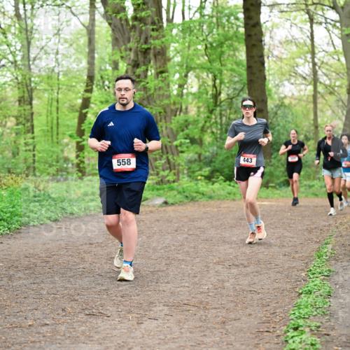 19.04.2026 - Hammer Lauf Dr. Thomas Lammeyer http://msf.ph/oto/9556810 19.04.2026 12:39:28 Laufen 558, 443 meine-sportfotos.de