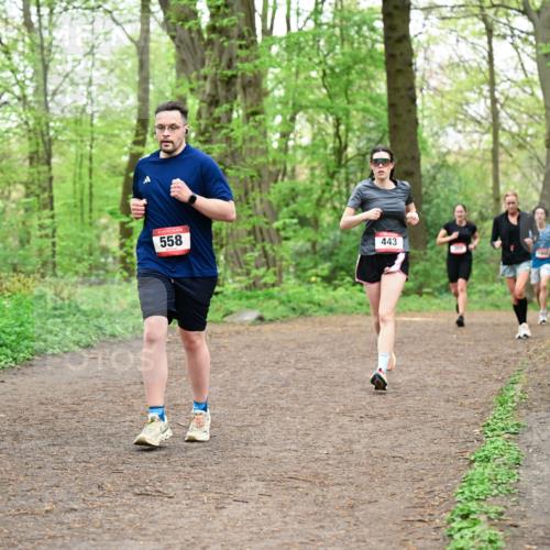 19.04.2026 - Hammer Lauf Dr. Thomas Lammeyer http://msf.ph/oto/9556811 19.04.2026 12:39:28 Laufen 558, 443 meine-sportfotos.de