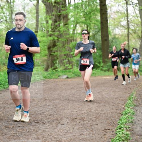 19.04.2026 - Hammer Lauf Dr. Thomas Lammeyer http://msf.ph/oto/9556812 19.04.2026 12:39:29 Laufen 558, 443 meine-sportfotos.de