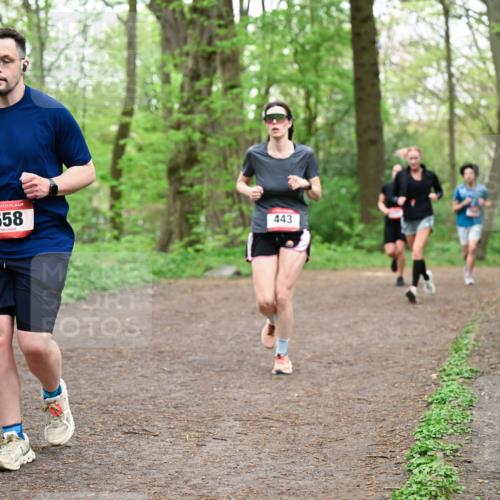 19.04.2026 - Hammer Lauf Dr. Thomas Lammeyer http://msf.ph/oto/9556814 19.04.2026 12:39:29 Laufen 558, 443 meine-sportfotos.de