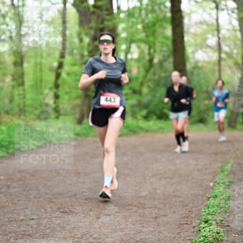 19.04.2026 - Hammer Lauf Dr. Thomas Lammeyer http://msf.ph/oto/9556815 19.04.2026 12:39:29 Laufen  meine-sportfotos.de