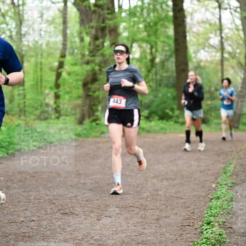19.04.2026 - Hammer Lauf Dr. Thomas Lammeyer http://msf.ph/oto/9556817 19.04.2026 12:39:29 Laufen 558, 443 meine-sportfotos.de