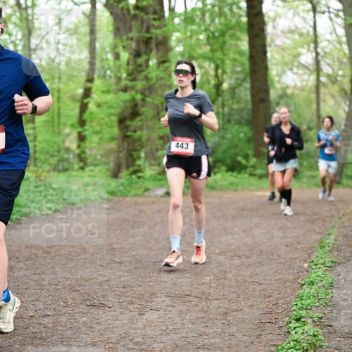 19.04.2026 - Hammer Lauf Dr. Thomas Lammeyer http://msf.ph/oto/9556818 19.04.2026 12:39:29 Laufen 558, 443 meine-sportfotos.de