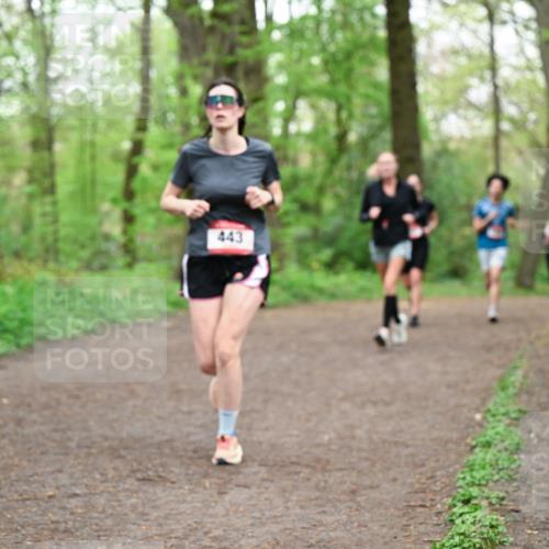 19.04.2026 - Hammer Lauf Dr. Thomas Lammeyer http://msf.ph/oto/9556820 19.04.2026 12:39:30 Laufen 443 meine-sportfotos.de