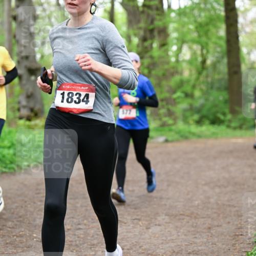 19.04.2026 - Hammer Lauf Dr. Thomas Lammeyer http://msf.ph/oto/9557039 19.04.2026 12:40:06 Laufen 1689, 1834, 377 meine-sportfotos.de