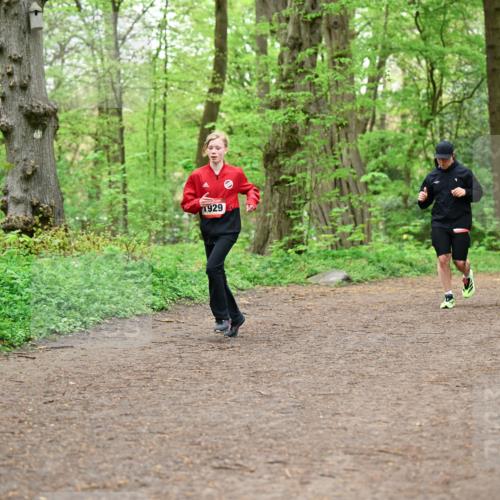 19.04.2026 - Hammer Lauf Dr. Thomas Lammeyer http://msf.ph/oto/9557144 19.04.2026 12:40:23 Laufen 1929 meine-sportfotos.de