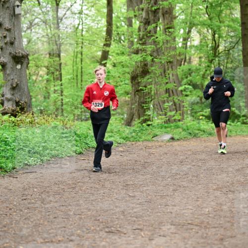 19.04.2026 - Hammer Lauf Dr. Thomas Lammeyer http://msf.ph/oto/9557147 19.04.2026 12:40:23 Laufen 1929 meine-sportfotos.de