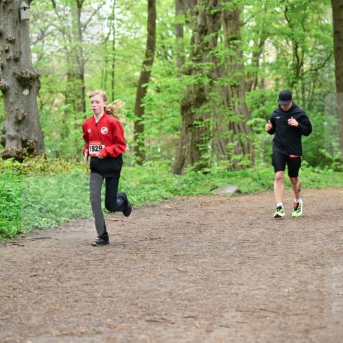 19.04.2026 - Hammer Lauf Dr. Thomas Lammeyer http://msf.ph/oto/9557150 19.04.2026 12:40:23 Laufen 1929 meine-sportfotos.de