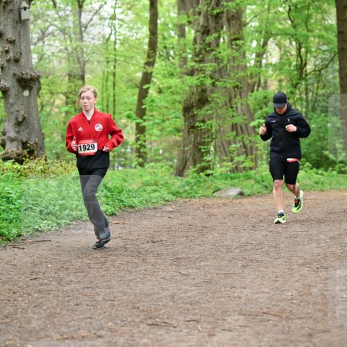 19.04.2026 - Hammer Lauf Dr. Thomas Lammeyer http://msf.ph/oto/9557151 19.04.2026 12:40:24 Laufen 1929 meine-sportfotos.de