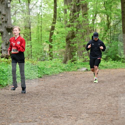 19.04.2026 - Hammer Lauf Dr. Thomas Lammeyer http://msf.ph/oto/9557152 19.04.2026 12:40:24 Laufen 1929 meine-sportfotos.de
