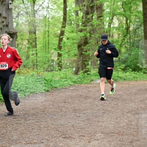 19.04.2026 - Hammer Lauf Dr. Thomas Lammeyer http://msf.ph/oto/9557157 19.04.2026 12:40:24 Laufen 1929 meine-sportfotos.de