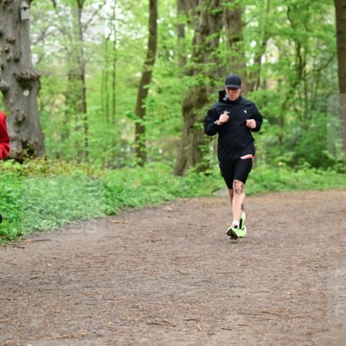 19.04.2026 - Hammer Lauf Dr. Thomas Lammeyer http://msf.ph/oto/9557159 19.04.2026 12:40:24 Laufen 1929 meine-sportfotos.de