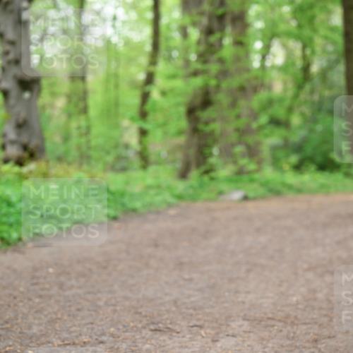 19.04.2026 - Hammer Lauf Dr. Thomas Lammeyer http://msf.ph/oto/9557176 19.04.2026 12:40:27 Laufen  meine-sportfotos.de