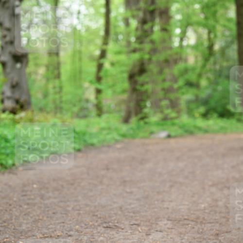 19.04.2026 - Hammer Lauf Dr. Thomas Lammeyer http://msf.ph/oto/9557177 19.04.2026 12:40:27 Laufen  meine-sportfotos.de