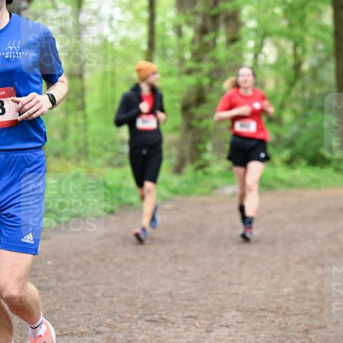 19.04.2026 - Hammer Lauf Dr. Thomas Lammeyer http://msf.ph/oto/9557221 19.04.2026 12:40:34 Laufen 133 meine-sportfotos.de