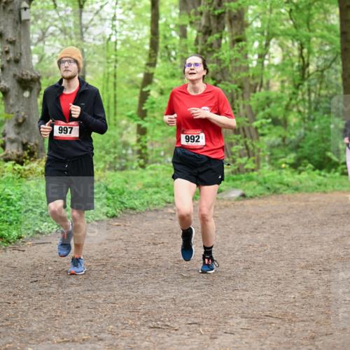 19.04.2026 - Hammer Lauf Dr. Thomas Lammeyer http://msf.ph/oto/9557223 19.04.2026 12:40:35 Laufen 997, 992 meine-sportfotos.de